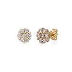 10ct Gold Diamond Studs. Set with 0.50ct tdw Diamonds (0.25ct each)